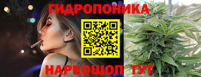 индика Северобайкальск