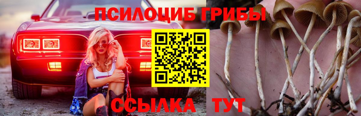 Обь  Галлюциногенные грибы прущие грибы  Вход с VPN 